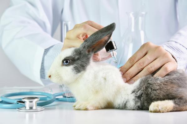 cosmetica-cruelty-free